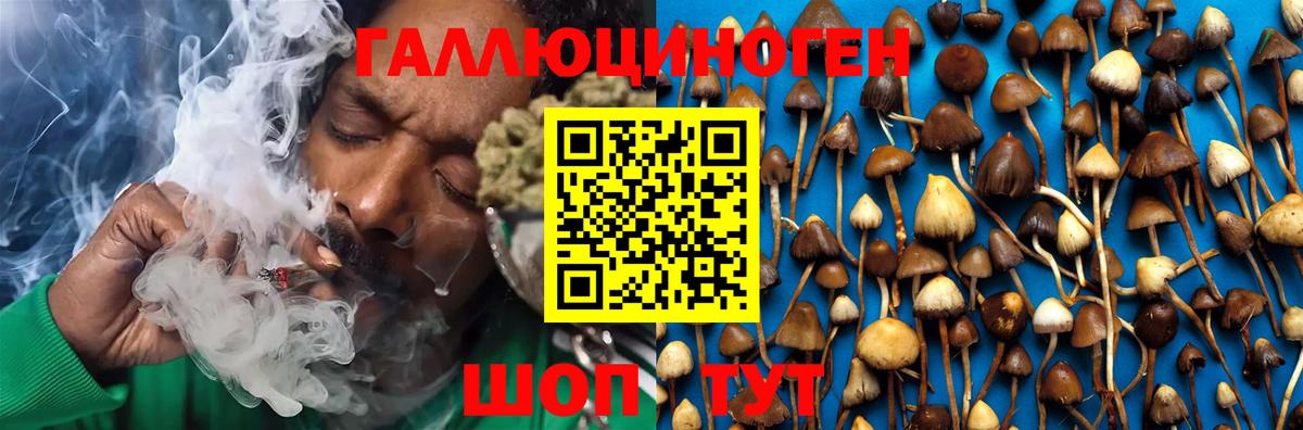 как найти наркотики  Вход с VPN  Южноуральск  Псилоцибиновые грибы Psilocybe 